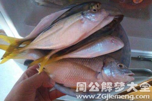 梦见很多鱼是什么意思,梦见很多鱼是什么意思 梦见很多鱼是什么意思,梦见很多鱼是什么意思